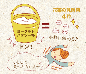 ヨーグルト