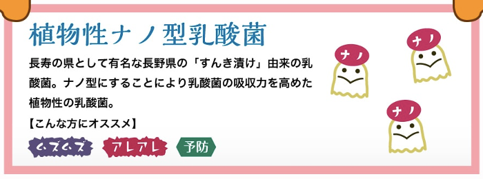 ナノ型乳酸菌